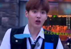 吴亦凡视频,揭秘明星背后的真实生活